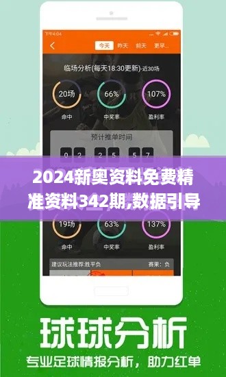 2024新奥资料免费精准资料342期,数据引导策略解析_特供款6.911