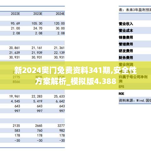 新2024奥门兔费资料341期,安全性方案解析_模拟版4.388