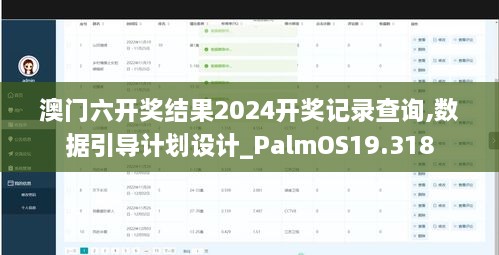 澳门六开奖结果2024开奖记录查询,数据引导计划设计_PalmOS19.318