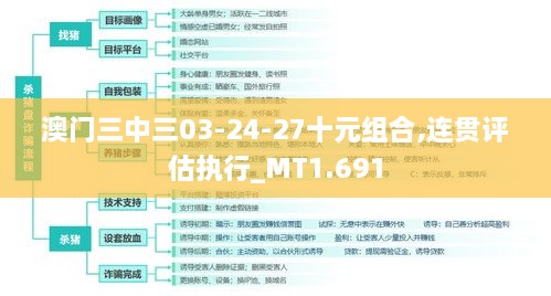 澳门三中三03-24-27十元组合,连贯评估执行_MT1.691