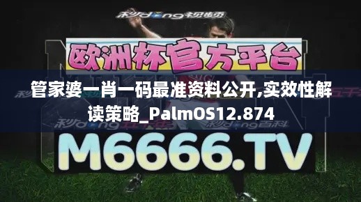 管家婆一肖一码最准资料公开,实效性解读策略_PalmOS12.874