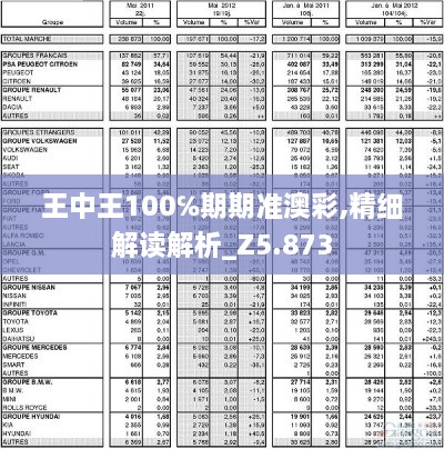 王中王100℅期期准澳彩,精细解读解析_Z5.873