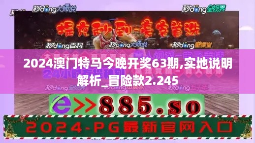 2024澳门特马今晚开奖63期,实地说明解析_冒险款2.245