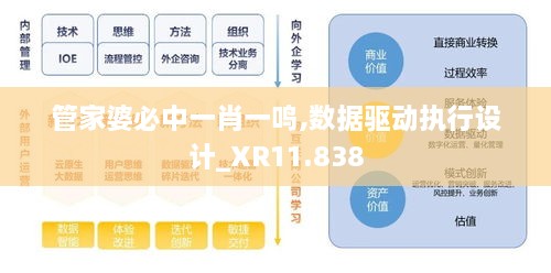 管家婆必中一肖一鸣,数据驱动执行设计_XR11.838