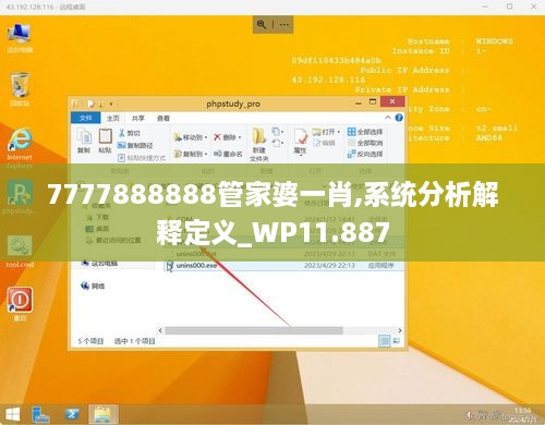 7777888888管家婆一肖,系统分析解释定义_WP11.887