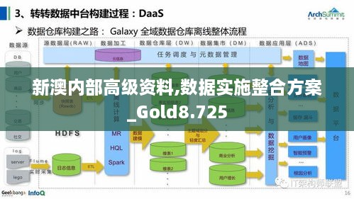 新澳内部高级资料,数据实施整合方案_Gold8.725