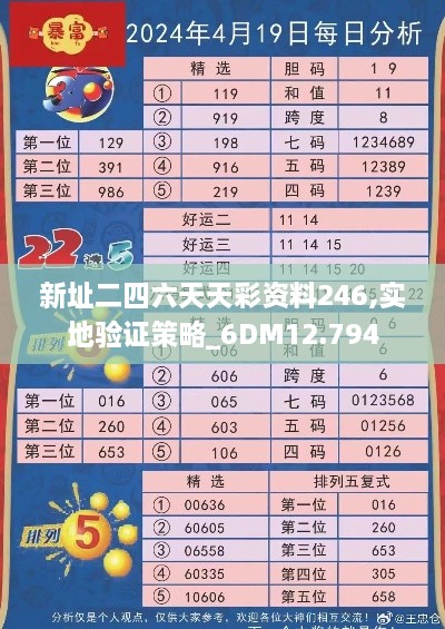 新址二四六天天彩资料246,实地验证策略_6DM12.794