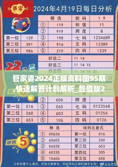 管家婆2024正版资料图95期,快速解答计划解析_超值版2.967