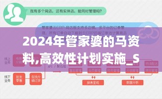 2024年管家婆的马资料,高效性计划实施_SE版8.805