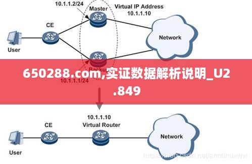 650288.com,实证数据解析说明_U2.849