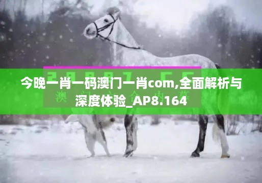 今晚一肖一码澳门一肖com,全面解析与深度体验_AP8.164