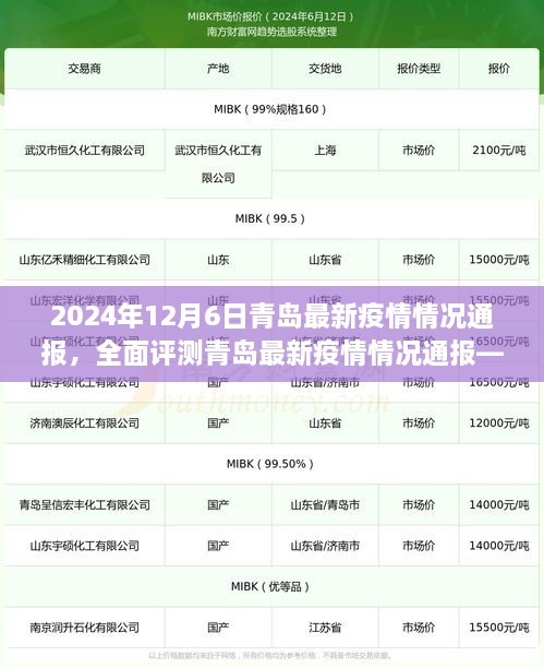 2024年12月6日青岛疫情最新通报，全面洞察疫情动态