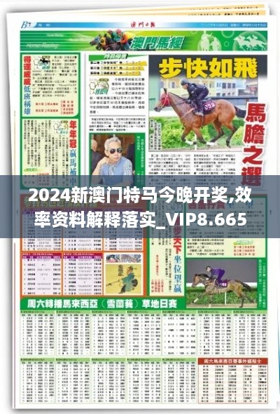 2024新澳门特马今晚开奖,效率资料解释落实_VIP8.665