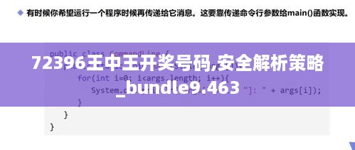 72396王中王开奖号码,安全解析策略_bundle9.463