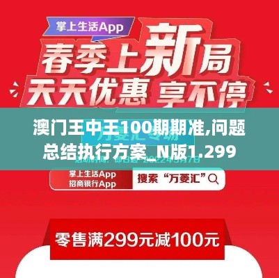 澳门王中王100期期准,问题总结执行方案_N版1.299