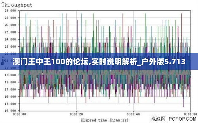 澳门王中王100的论坛,实时说明解析_户外版5.713