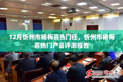 忻州市杨梅喜热门产品评测报告，深度解析与推荐