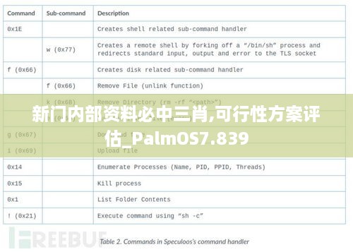 新门内部资料必中三肖,可行性方案评估_PalmOS7.839