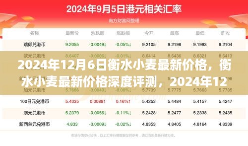 2024年12月6日衡水小麦最新价格，衡水小麦最新价格深度评测，2024年12月6日的品质与前景分析