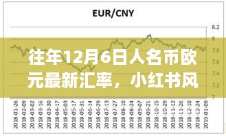 历年12月6日人民币汇率解析，小红书风格揭秘最新汇率动态与欧元对比📈💥