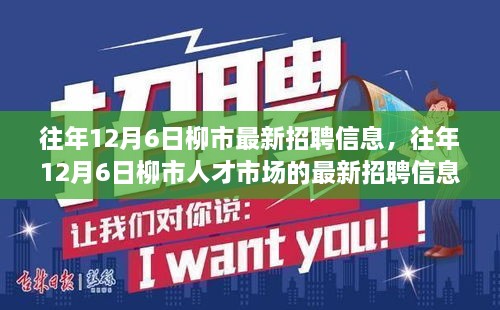 柳市人才市场最新招聘信息深度解析，历年12月6日招聘动态概览