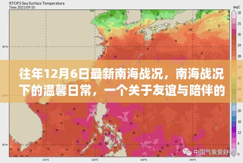 南海战况下的温馨日常，友谊与陪伴的故事