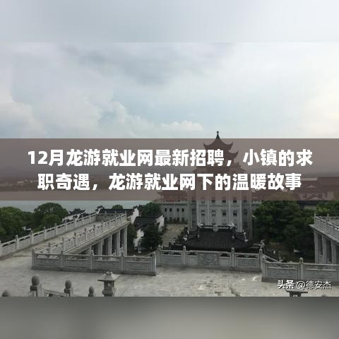 龙游就业网12月最新招聘揭秘，小镇求职奇遇与温暖故事