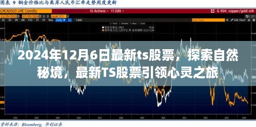 最新TS股票引领心灵之旅，探索自然秘境的启程日（2024年12月6日）