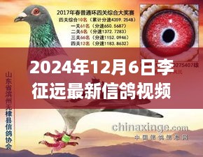 李征远最新信鸽视频发布，多维解读与价值探讨影响深远