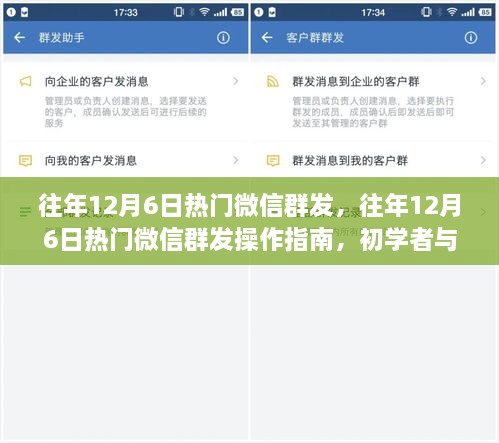 往年12月6日热门微信群发操作指南，初学者与进阶用户通用攻略
