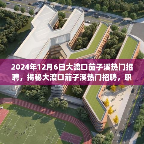 2024年12月6日大渡口茄子溪热门招聘，揭秘大渡口茄子溪热门招聘，职场人的新机遇与挑战（2024年12月6日版）