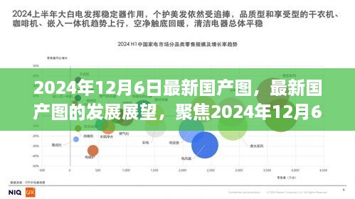 2024年国产图像技术革新展望，聚焦最新发展动态与未来趋势