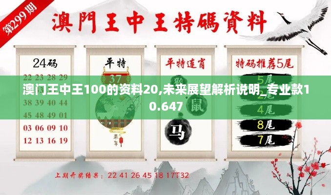 澳门王中王100的资料20,未来展望解析说明_专业款10.647