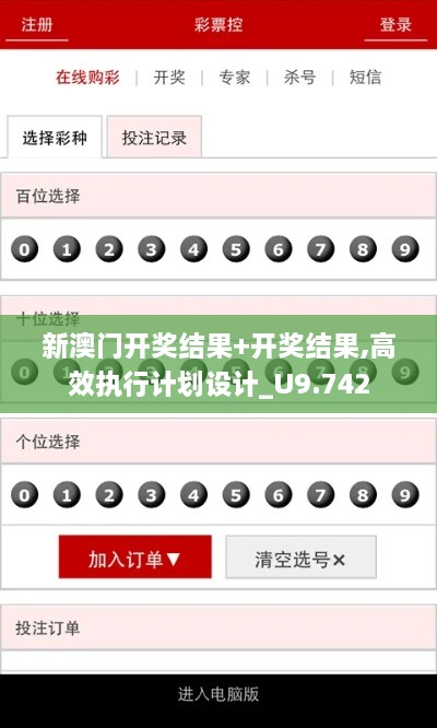 新澳门开奖结果+开奖结果,高效执行计划设计_U9.742