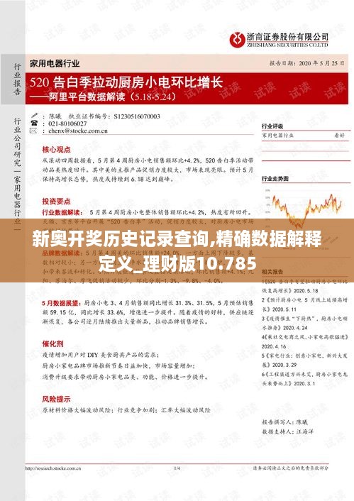 新奥开奖历史记录查询,精确数据解释定义_理财版10.785