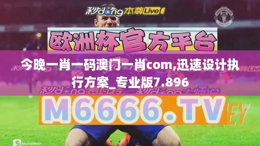 今晚一肖一码澳门一肖com,迅速设计执行方案_专业版7.896