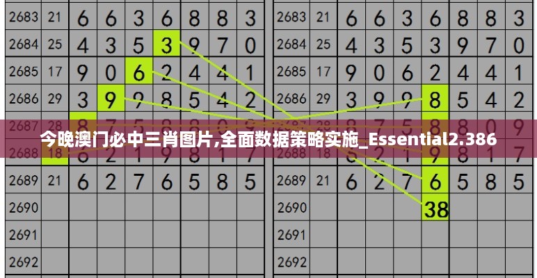 今晚澳门必中三肖图片,全面数据策略实施_Essential2.386