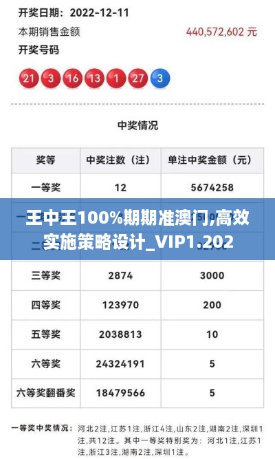 王中王100%期期准澳门,高效实施策略设计_VIP1.202