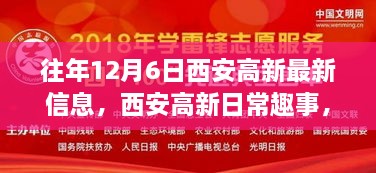 西安高新日常趣事与奇缘，暖阳下的十二月最新资讯