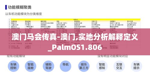 澳门马会传真-澳门,实地分析解释定义_PalmOS1.806