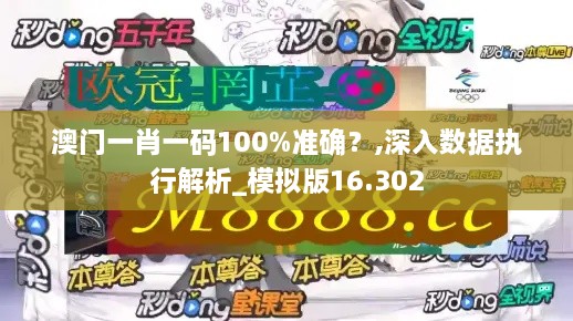 澳门一肖一码100%准确？,深入数据执行解析_模拟版16.302