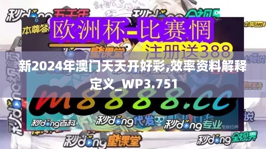 新2024年澳门天天开好彩,效率资料解释定义_WP3.751