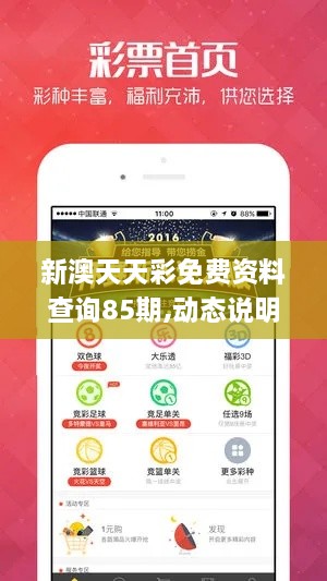 新澳天天彩免费资料查询85期,动态说明解析_VIP9.717