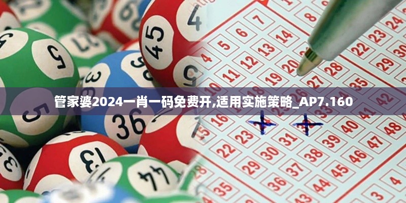 管家婆2024一肖一码免费开,适用实施策略_AP7.160