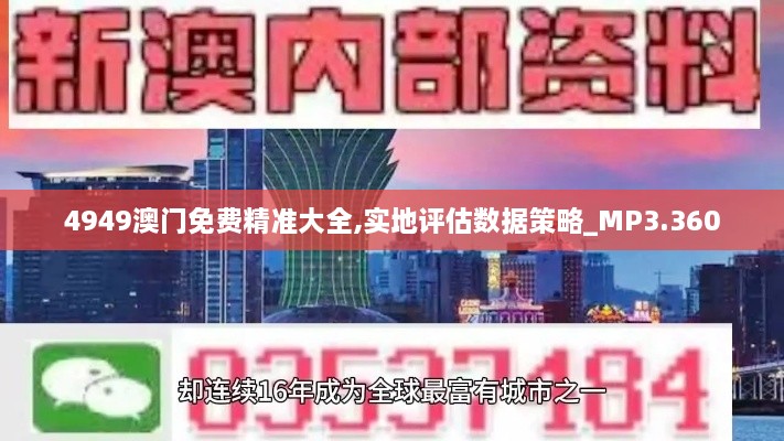 4949澳门免费精准大全,实地评估数据策略_MP3.360