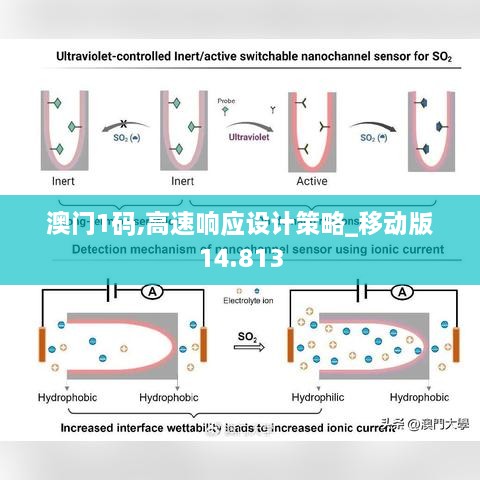 澳门1码,高速响应设计策略_移动版14.813