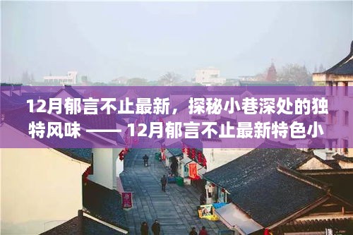 探秘小巷深处的独特风味，12月郁言不止特色小店游记