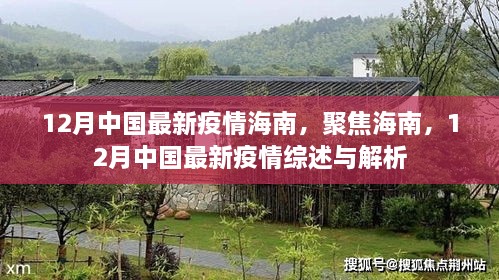 海南疫情综述，聚焦海南最新疫情动态与解析（十二月版）