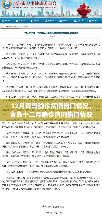 青岛十二月确诊病例热门情况分析，观点阐述与深度解析