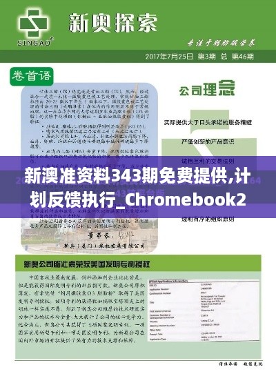 新澳准资料343期免费提供,计划反馈执行_Chromebook2.971